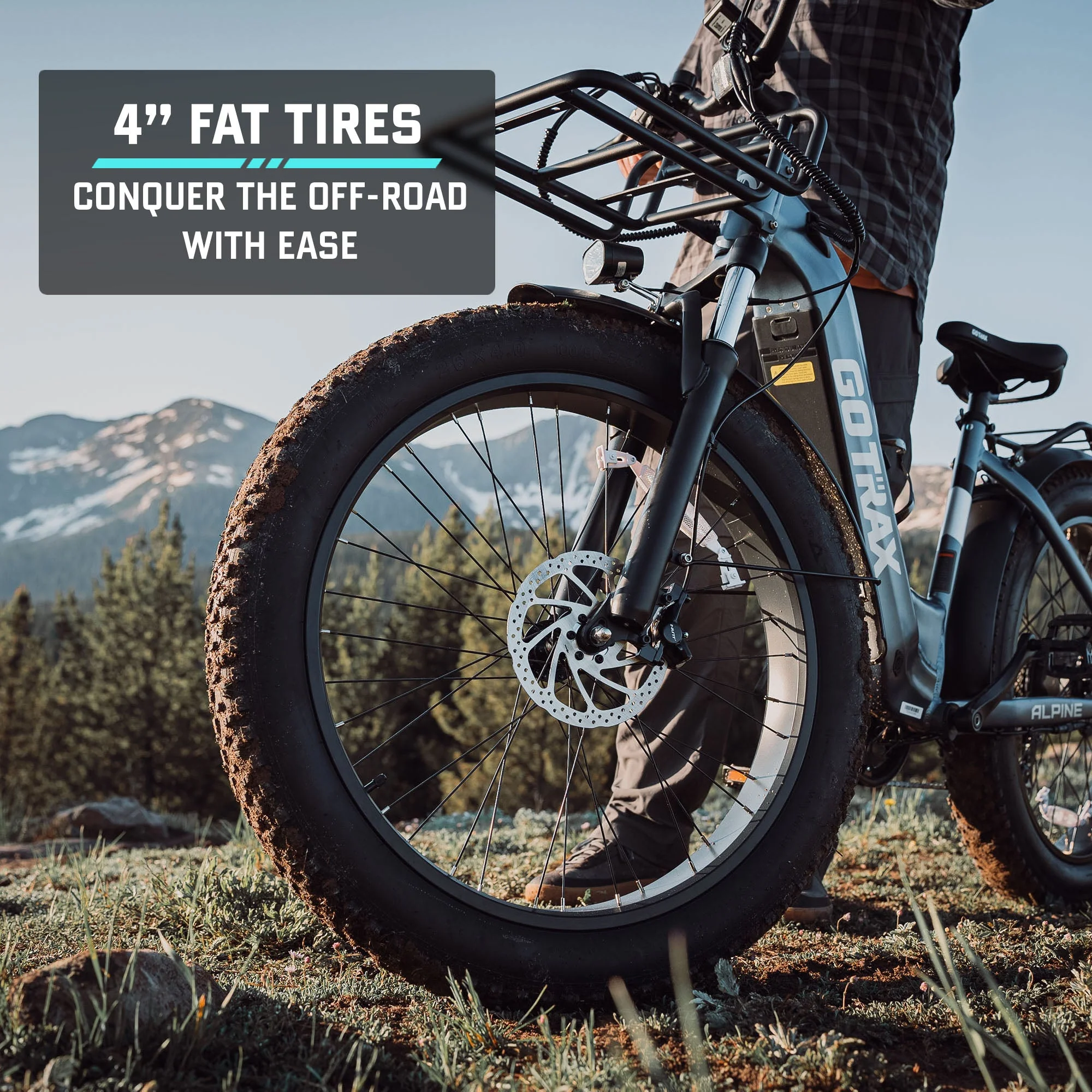 Alpine Fat Tire eBike - Image 10