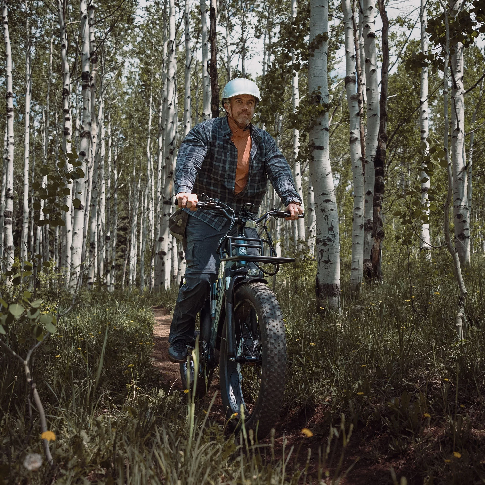 Alpine Fat Tire eBike - Image 14