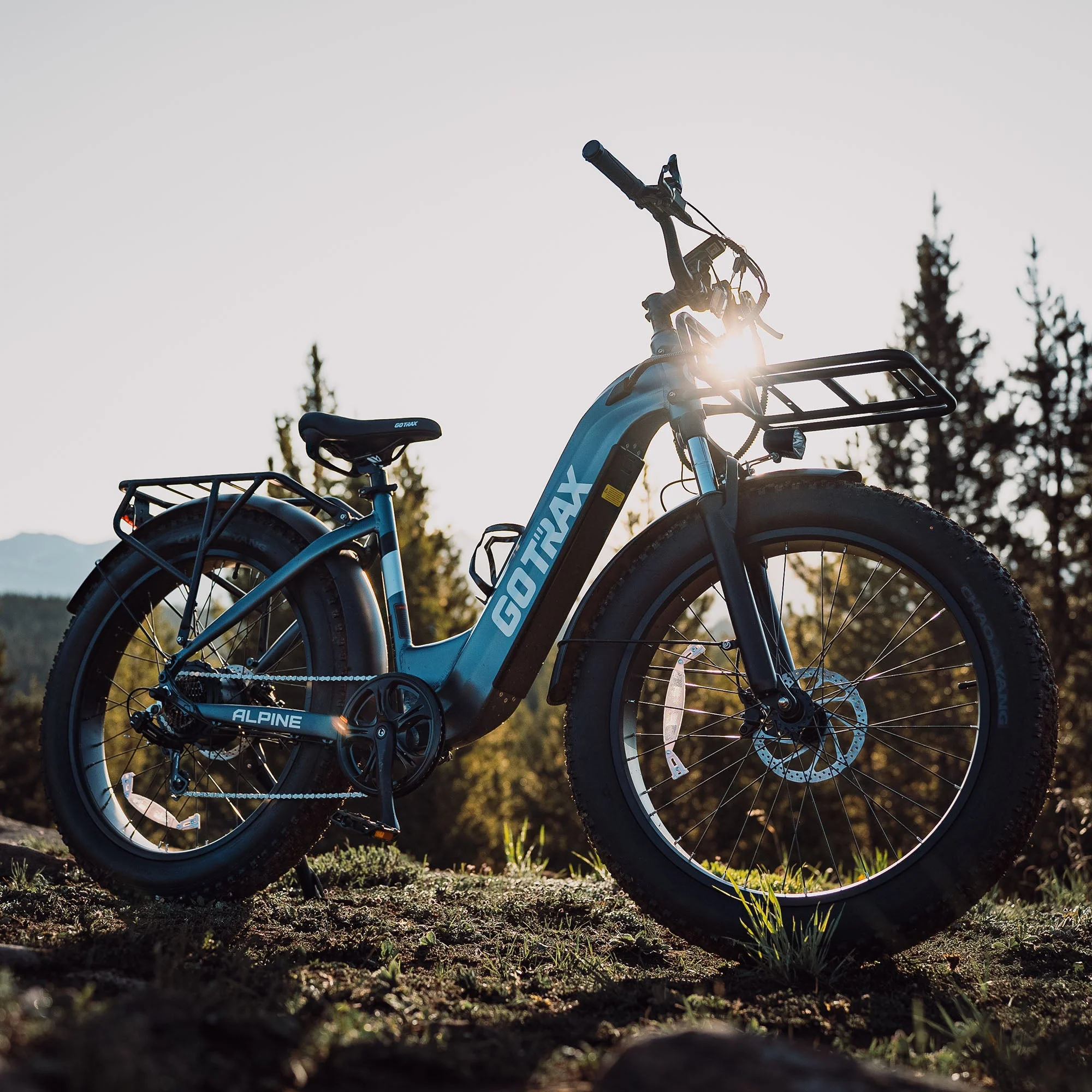 Alpine Fat Tire eBike - Image 15
