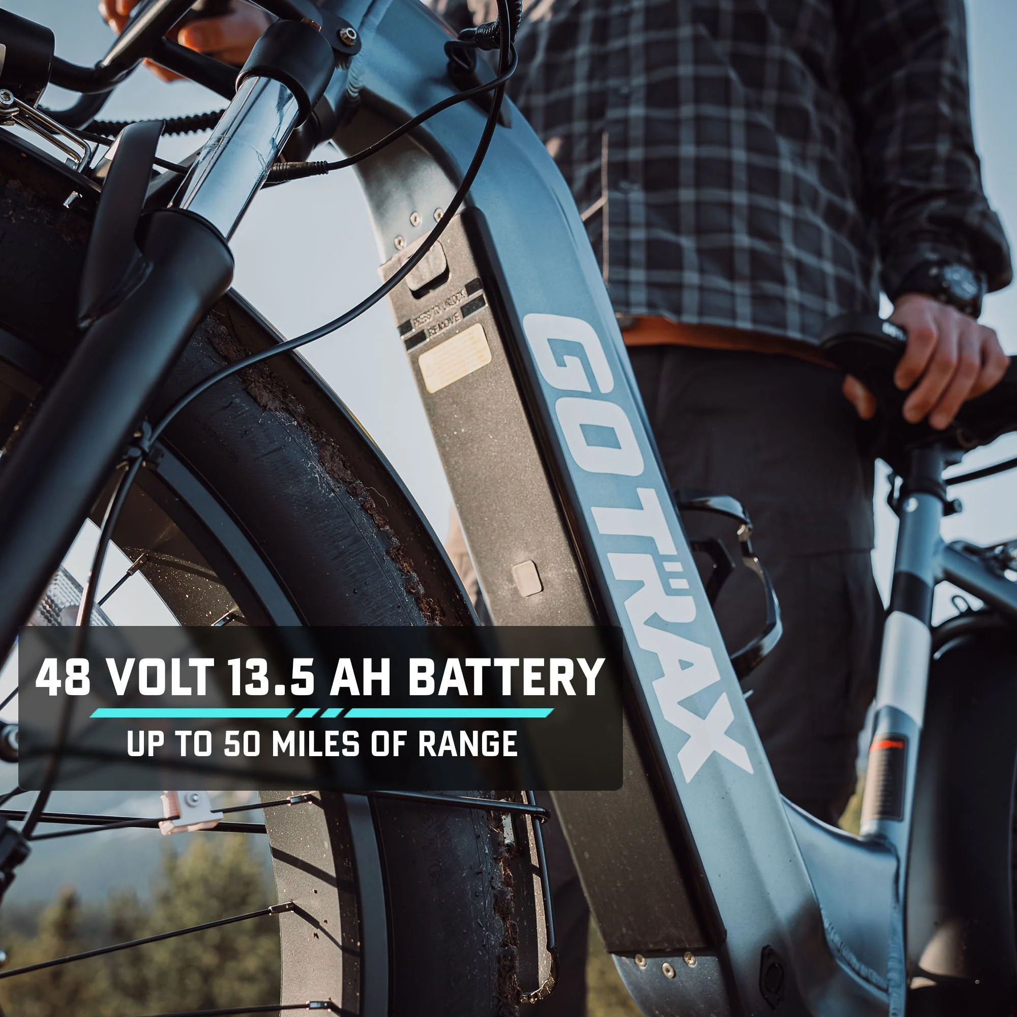 Alpine Fat Tire eBike - Image 5