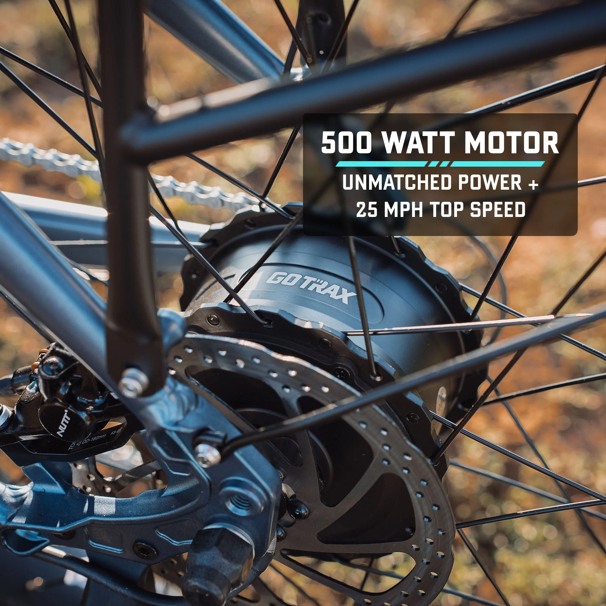 Alpine Fat Tire eBike - Image 6