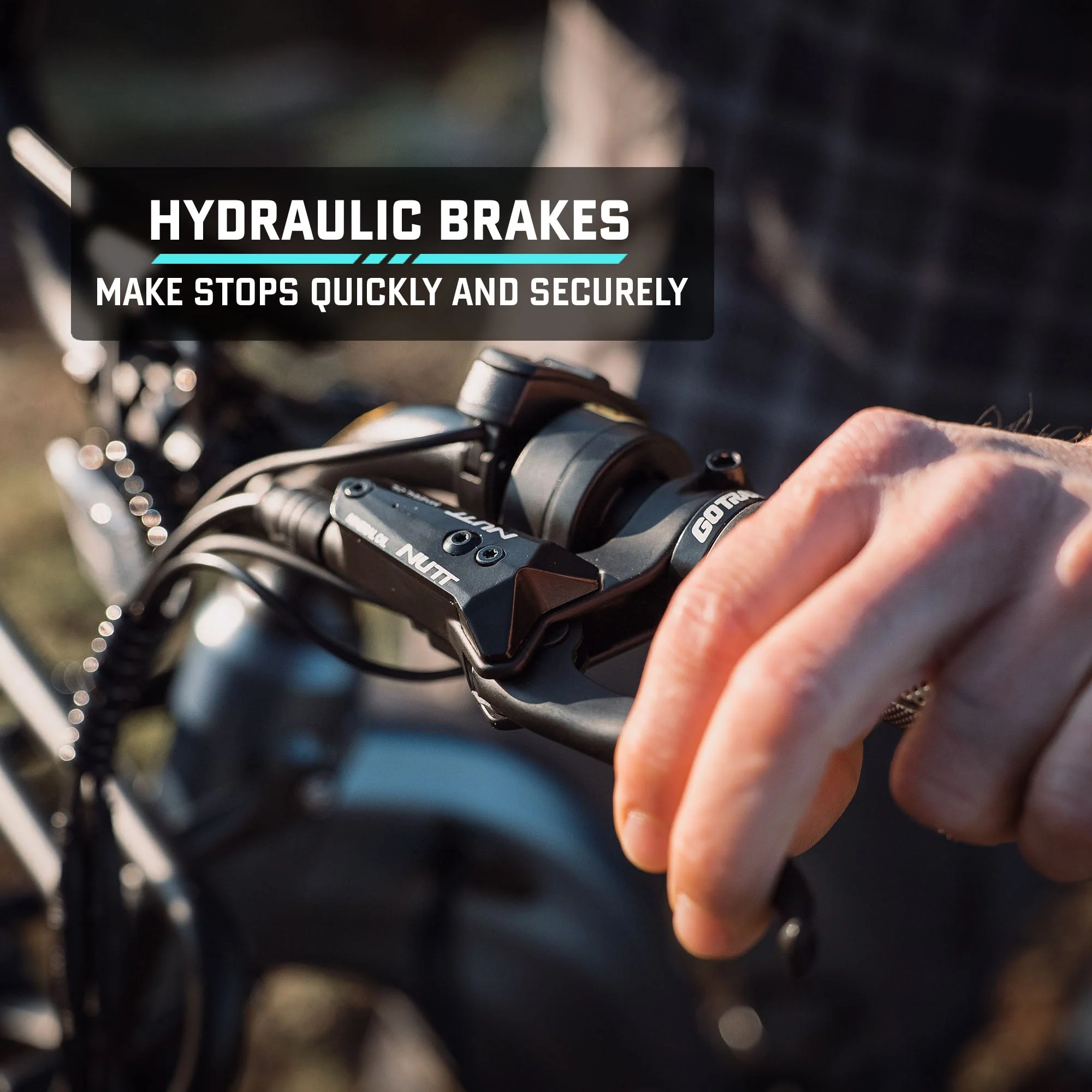 Alpine Fat Tire eBike - Image 7