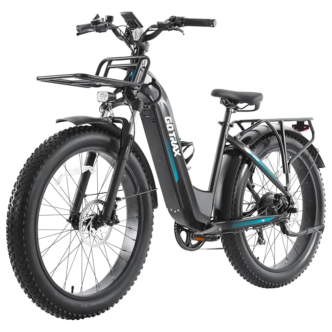 Alpine Fat Tire eBike - Image 24