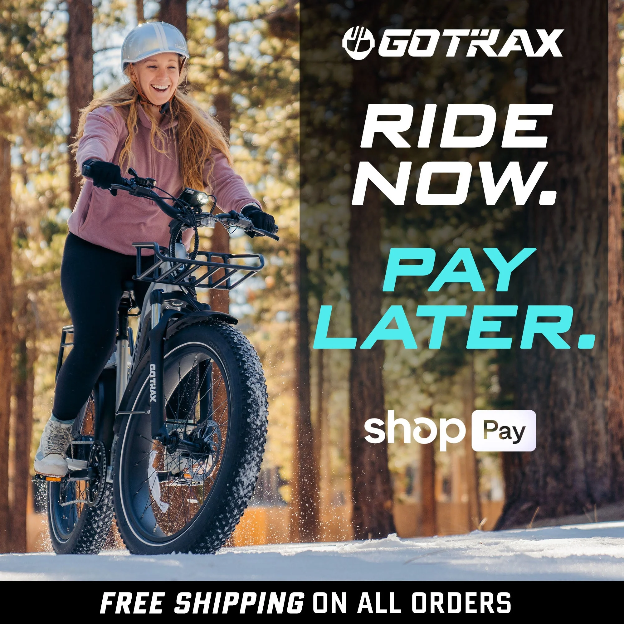 Tundra Fat Tire Electric Bike - Image 3